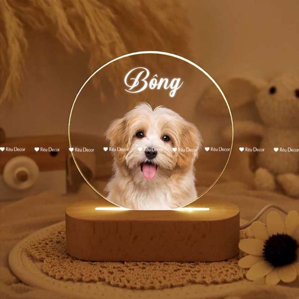 Đèn ngủ cho Thú cưng, Decor in UV sắc nét, quà sinh nhật, quà lưu niệm ý nghĩa - Hình ảnh 2