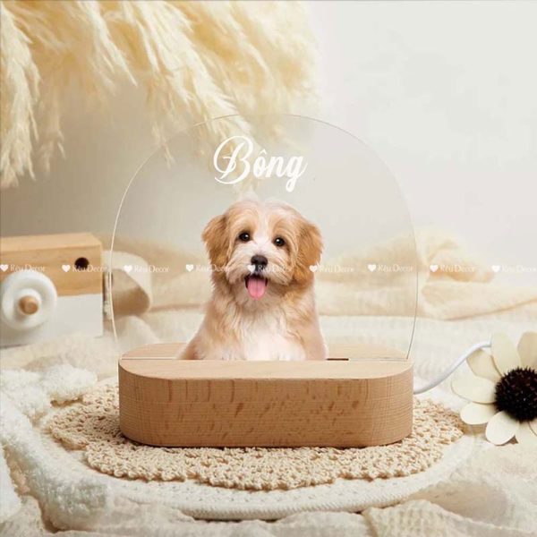 Đèn ngủ cho Thú cưng, Decor in UV sắc nét, quà sinh nhật, quà lưu niệm ý nghĩa - Hình ảnh 3