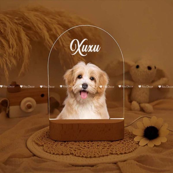 Đèn ngủ cho Thú cưng, Decor in UV sắc nét, quà sinh nhật, quà lưu niệm ý nghĩa - Hình ảnh 4